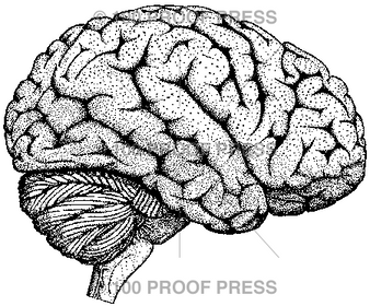 100 Proof Press Rubber Stamp Brain