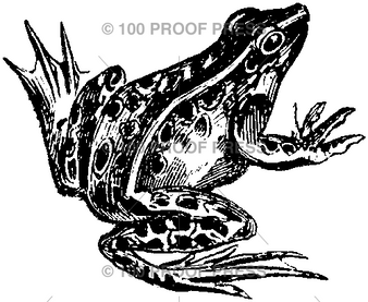 100 Proof Press Rubber Stamp Frog