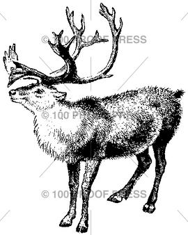 100 Proof Press Rubber Stamp Reindeer