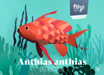 Plego 3D Paper Figure Swallowtail Sea Perch