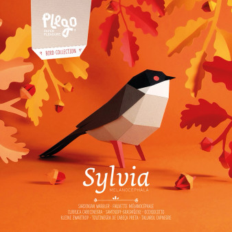 Plego 3D Paper Figure Bird Sardinian Warbler