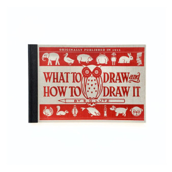 What to Draw and How to Draw It