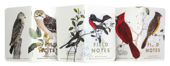 Field Notes Limited Edition Notebooks The Birds and Trees of North America 3 Pack C Ruled