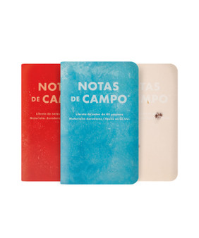 Field Notes Limited Edition Paletas 3 Pack Dot Notebooks - Pack A