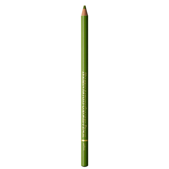 Holbein Colored Pencil Moss Green