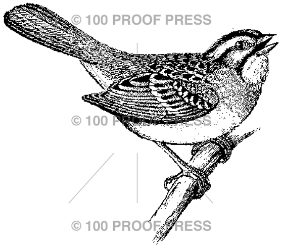 100 Proof Press Rubber Stamp Songbird on Branch