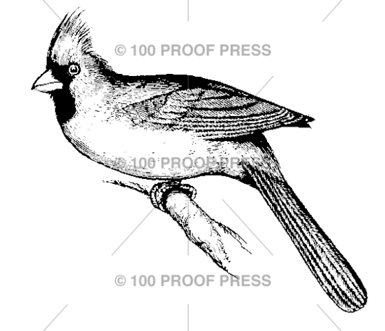 100 Proof Press Rubber Stamp Cardinal