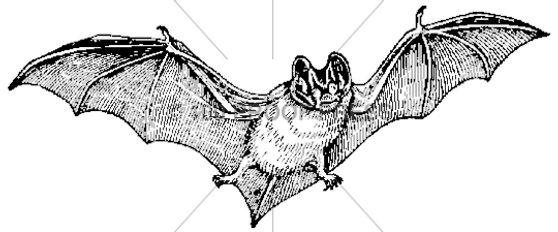 100 Proof Press Rubber Stamp Flying Bat