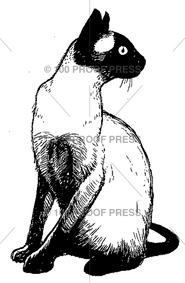 100 Proof Press Rubber Stamp Siamese Cat