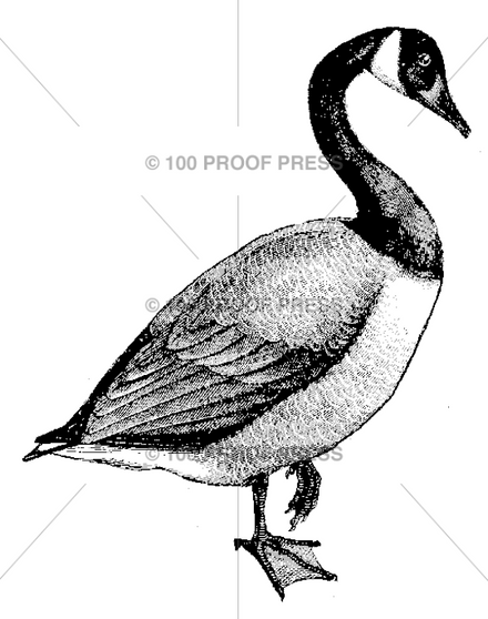 100 Proof Press Rubber Stamp Canada Goose