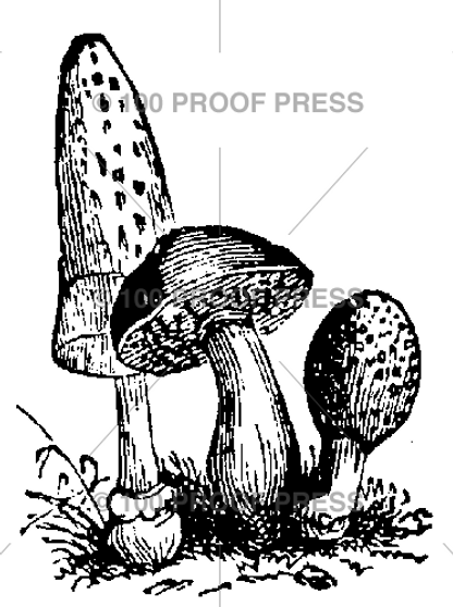 100 Proof Press Rubber Stamp Group of Mushrooms