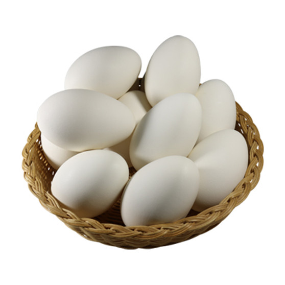 Blown Out Goose Egg Shell (Single Egg) 9"