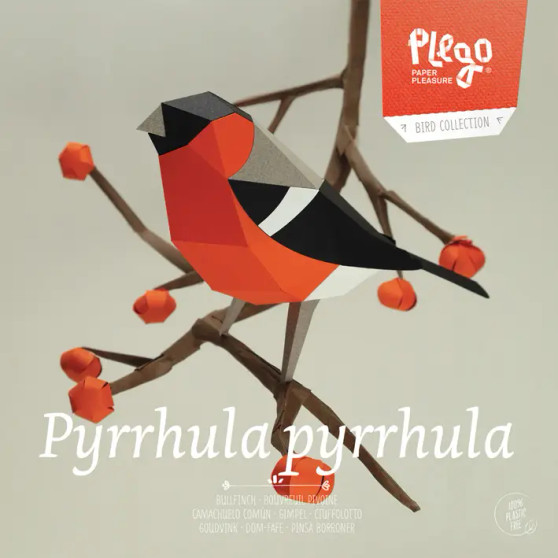 Plego 3D Paper Figure Bird Bullfinch