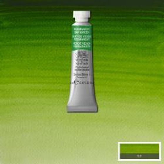 Winsor & Newton Professional Watercolour 5ml Permanent Sap Green