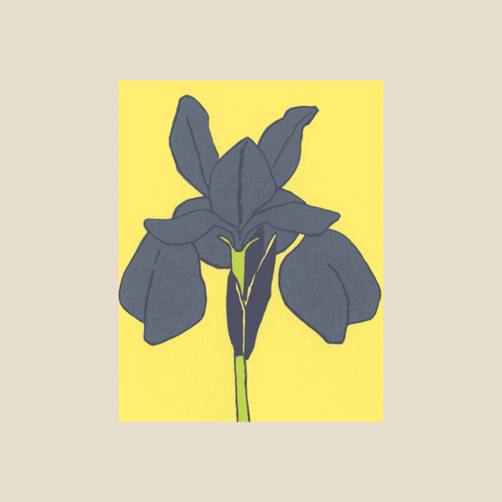 Kinaloon Screen Printed Card Iris on Yellow