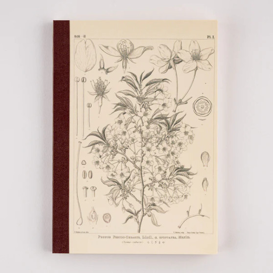 Tomitaro Makino: Hobonichi Graph Notebook (A5) - Yamazakura 6X8 Flower