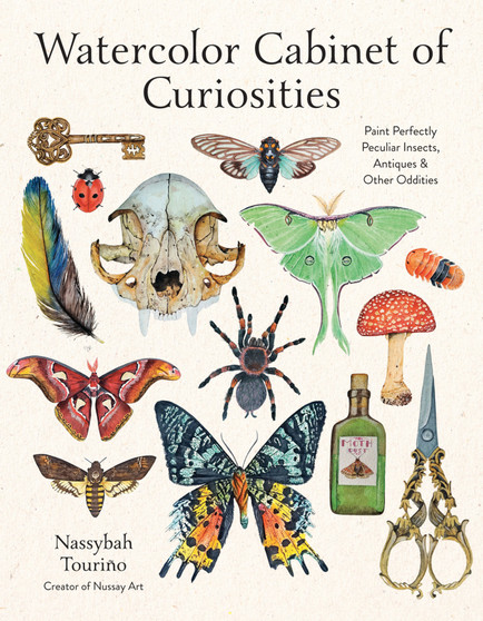Watercolor Cabinet of Curiosities
