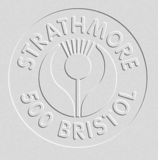 Strathmore 500 Series Bristol Vellum 4 Ply 23x29" Sheet