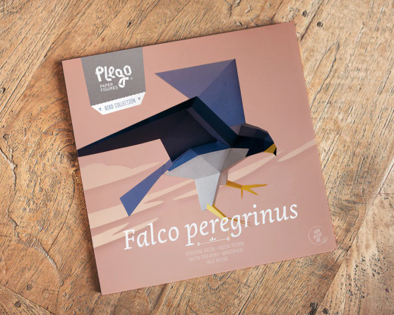 Plego Paper Figure 3D Peregrine Falcon