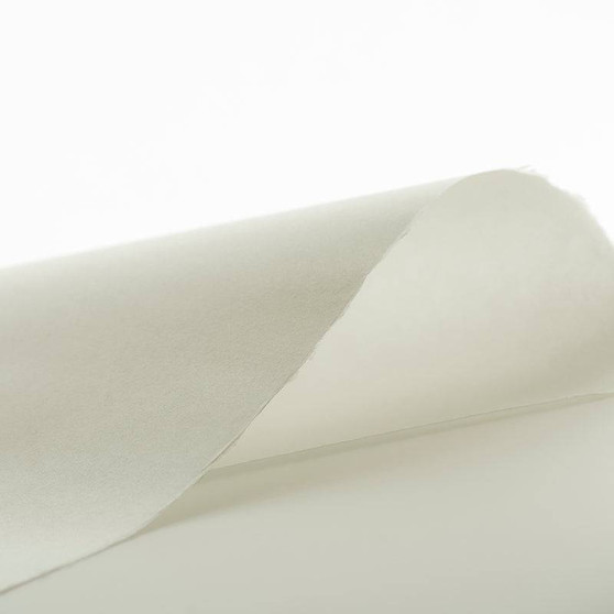 Awagami Editioning Fine Art Paper Hosho Select 17x20" 80gsm Single Sheet