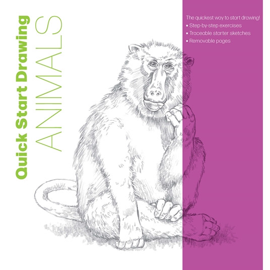 Quick Start Drawing Beginner Animals