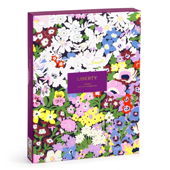 Galison Paint by Number Kit 9x12" Liberty Thorpe