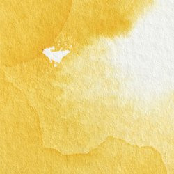 Winsor & Newton Professional Watercolour 14ml Cadmium Yellow