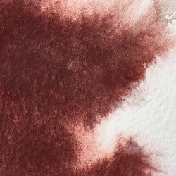 Winsor & Newton Professional Watercolour 14ml Caput Mortuum Violet