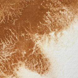 Winsor & Newton Professional Watercolour 14ml Magnesium Brown