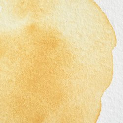 Winsor & Newton Professional Watercolour 14ml Naples Yellow