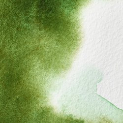 Winsor & Newton Professional Watercolour 14ml Permanent Sap Green