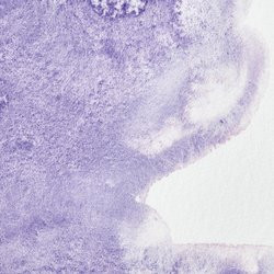 Winsor & Newton Professional Watercolour 14ml Ultramarine Violet
