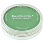 Panpastel Permanent Green