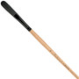 Princeton Catalyst Long Handle Polytip Bristle Egbert 6