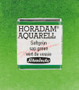 Schmincke Horadam Aquarell Half-Pan Sap Green - 530