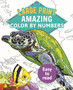 Amazing Color by Numbers Large Print