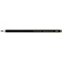 Faber-Castell Pitt Graphite Matte Pencil 12B