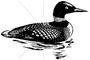 100 Proof Press Rubber Stamp Loon in the Water