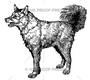 100 Proof Press Rubber Stamp Wolf