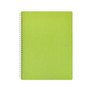 Fabriano Ecoqua Original Spiral-Bound Notebook Blank 8.2X11 Lime