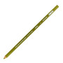 Prismacolor Premier Colored Pencil 1005 Limepeel