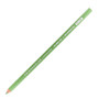 Prismacolor Premier Colored Pencil 120 Sap Green Light