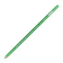 Prismacolor Premier Colored Pencil 920 Light Green
