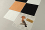Plego 3D Paper Figure Bird European Robin