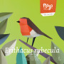 Plego 3D Paper Figure Bird European Robin
