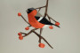 Plego 3D Paper Figure Bird Bullfinch