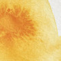 Winsor & Newton Professional Watercolour 5ml Cadmium Yellow Deep