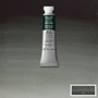 Winsor & Newton Professional Watercolour 5ml Perylene Green