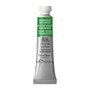 Winsor & Newton Professional Watercolour 5ml Permanent Sap Green