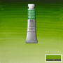 Winsor & Newton Professional Watercolour 5ml Permanent Sap Green